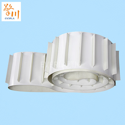 找FDA食品級輸送帶?請認準擎川EVERLAR