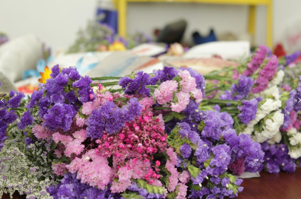 三八女神節(jié)，擎川給女神們送上驚喜！