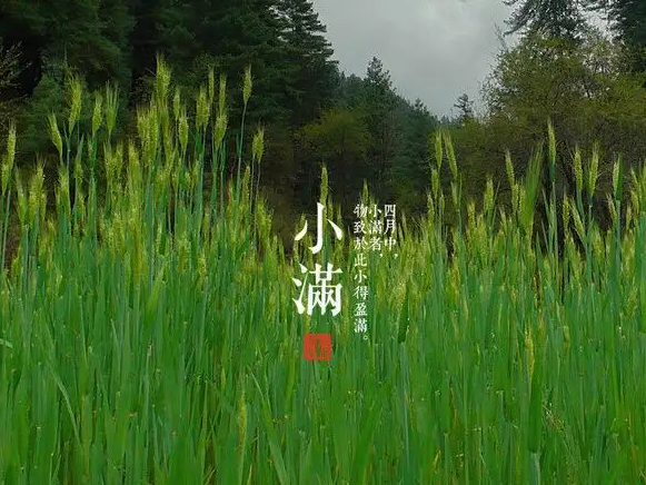 今日小滿，擎川與你一起靜待美滿！