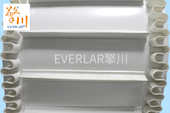 1650617793167087.jpg 裙邊輸送帶