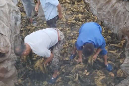 1653294704614553.png 食品輸送帶:“土坑酸菜”11家企業(yè)復(fù)工,消費(fèi)者還買單嗎