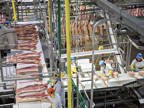 1659430085925469.png 屠宰行業適合哪種輸送帶?