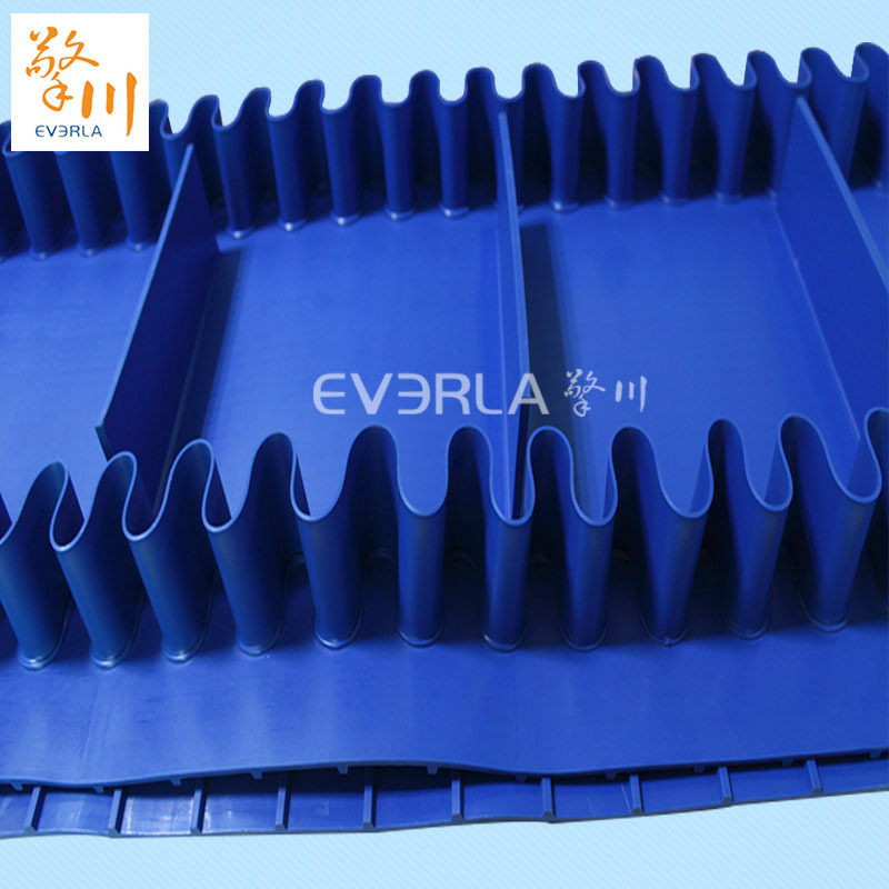 1660641711124687.jpg 易潔帶是如何顛覆傳統輸送帶的