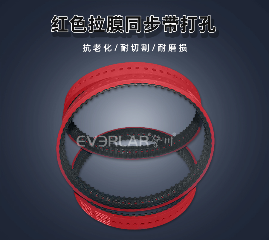 1668409265421652.jpg 同步帶pu模板_01.jpg