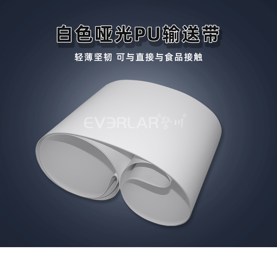 1672451850469007.jpg 輸送帶PU模板_01.jpg