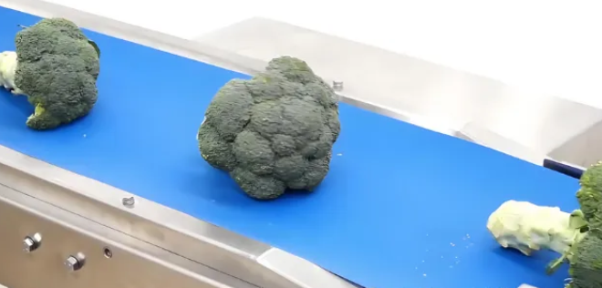 1745545218716811.png image.png